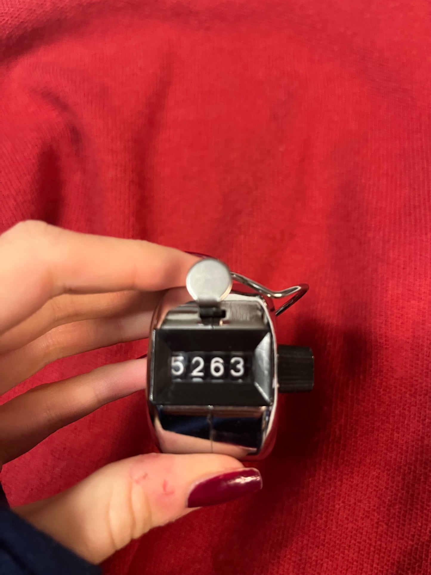 Lacoste Pullover M 5263